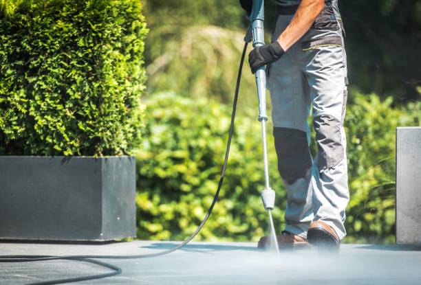 Best Post-Construction Pressure Washing  in Palmview, TX