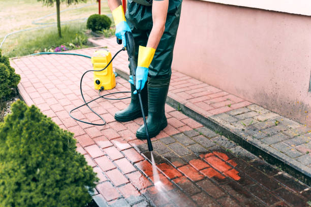 Best Building Exterior Washing  in Palmview, TX