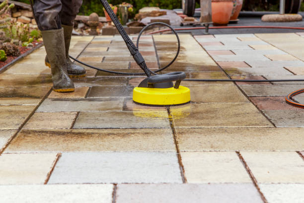 Best Pre-Holiday Cleaning  in Palmview, TX